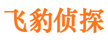 铜官山婚外情取证